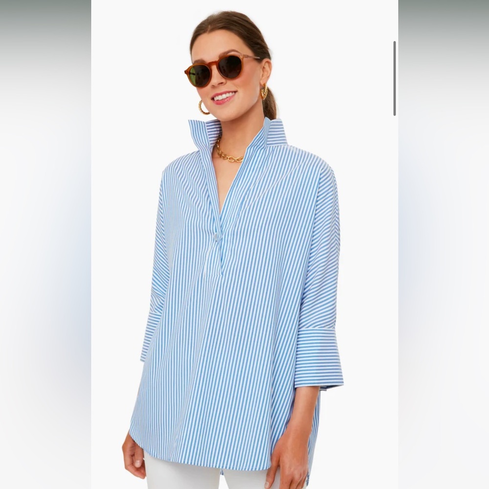 Tuckernuck Blue Stripe Willow Blouse